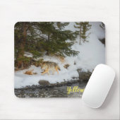 Maus Pad-Yellowstone-Coyote Mousepad (Mit Mouse)