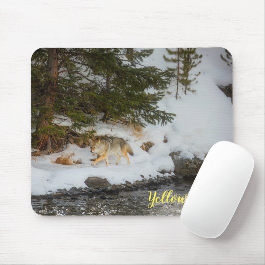 Maus Pad-Yellowstone-Coyote Mousepad (Mit Mouse)