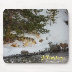 Maus Pad-Yellowstone-Coyote Mousepad