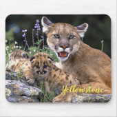 Maus Pad-Yellowstone-Löwe Mousepad (Vorne)