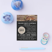 Maus, Pest Kontrolle Werbung Flyer (Einzeln)