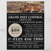 Maus, Pest Kontrolle Werbung Flyer (Vorne)