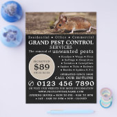 Maus, Pest Kontrolle Werbung Flyer (Einzeln)