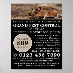 Maus, Pest Kontrolle Werbung Poster