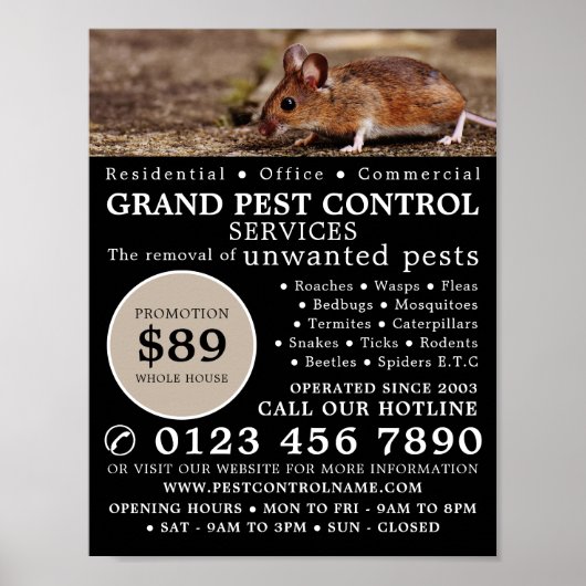 Maus, Pest Kontrolle Werbung Poster (Vorne)