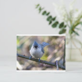 Maus Postkarte (Stehend Vorderseite)