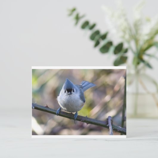 Maus Postkarte (Stehend Vorderseite)