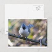 Maus Postkarte (Vorne/Hinten)