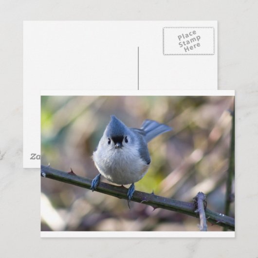 Maus Postkarte (Vorne/Hinten)