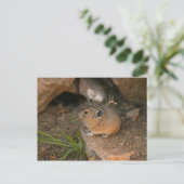 Maus Postkarte (Stehend Vorderseite)