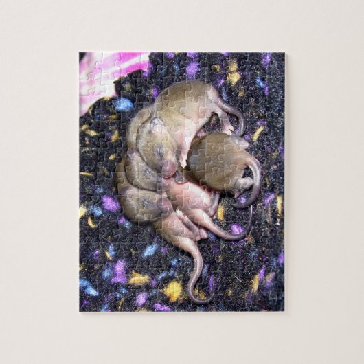 Maus Puzzle: Baby Agouti Mice Puzzle (Vertikal)
