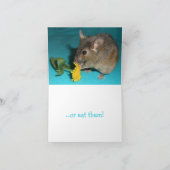 Maus Riechende Blume Karte (Innenseite)