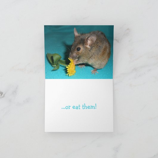 Maus Riechende Blume Karte (Innenseite)
