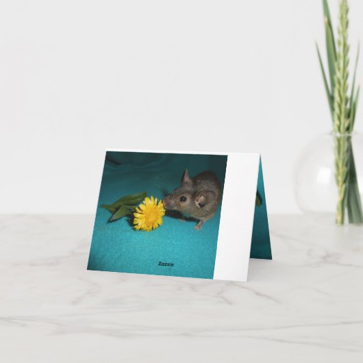 Maus Riechende Blume Karte (Rückseite)