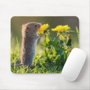 Maus riecht an einem gelben Löwenzahn Mousepad