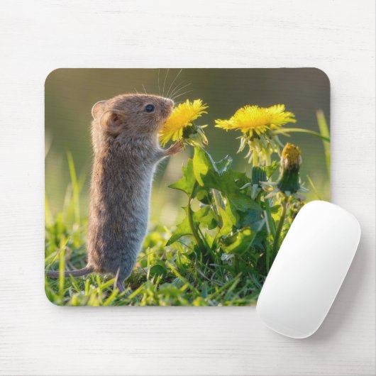 Maus riecht an einem gelben Löwenzahn Mousepad (Mit Mouse)