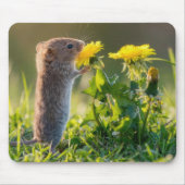 Maus riecht an einem gelben Löwenzahn Mousepad (Vorne)