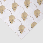 Maus Seidenpapier (Ausschnitt)