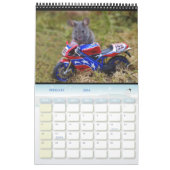 Mäuse - George die Maus in einem Blockhaufen Haus  Kalender (Feb 2026)