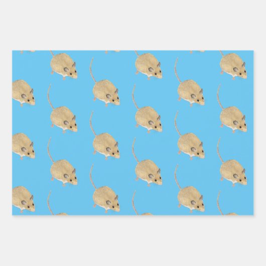 Mäuse Geschenkpapier Set (Vorderseite 3)