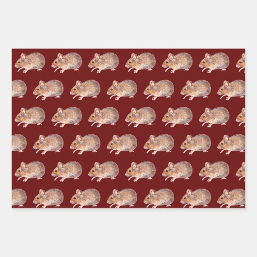 Mäuse Geschenkpapier Set (Vorderseite 2)