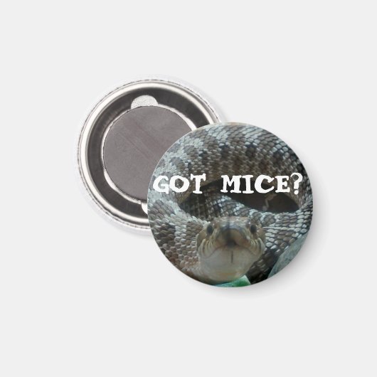 Mäuse got? Hognose Magnet (Vorderseite/Rückseite)