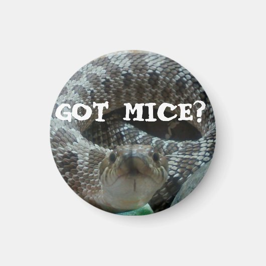 Mäuse got? Hognose Magnet (Vorne)