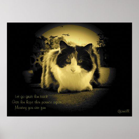 Mäuse sind Spaß Peep Hole Kitty Haiku Poster (Vorne)
