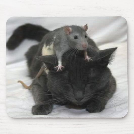 Mäuse- und KatzenMausunterlage Mousepad (Vorne)