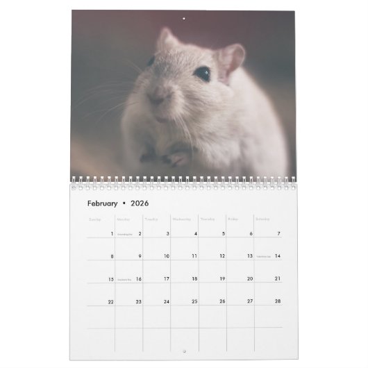 Mäuse und Ratten 2026 Kalender (Feb 2026)