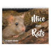 Mäuse und Ratten 2026 Kalender (Titelbild)