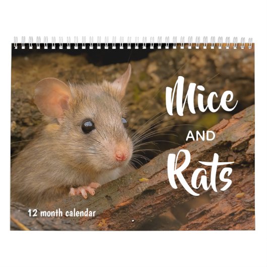 Mäuse und Ratten 2026 Kalender (Titelbild)