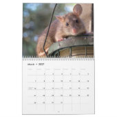 Mäuse und Ratten 2027 Kalender (Mär 2027)