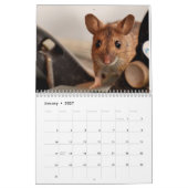 Mäuse und Ratten 2027 Kalender (Jan 2027)