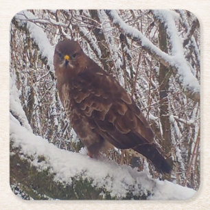 Mäusebussard Im Schnee Kalte Jahreszeit Greifvogel Rechteckiger Pappuntersetzer