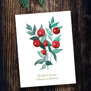 Mäusedorn-Rote Beeren Aquarell-Kunstwerk Postkarte