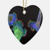 Mäuseembryonale Fibroblasten Keramikornament (Links)