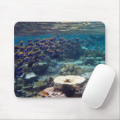 Mäusematte - taubenblauer Chirurg-Fisch Mousepad (Mit Mouse)