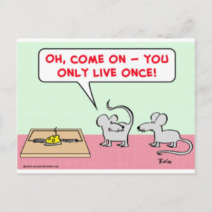 Mäusemousetrap nur Live einmal Postkarte