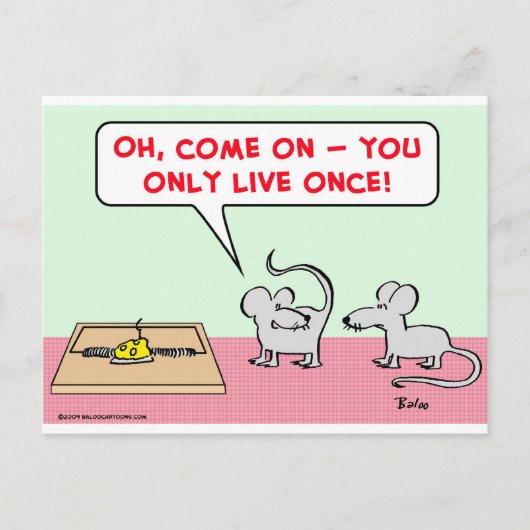 Mäusemousetrap nur Live einmal Postkarte (Vorderseite)