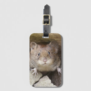 Mäuseporträt Gepäckanhänger