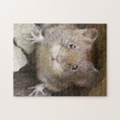 Mäuseporträt Puzzle (Horizontal)