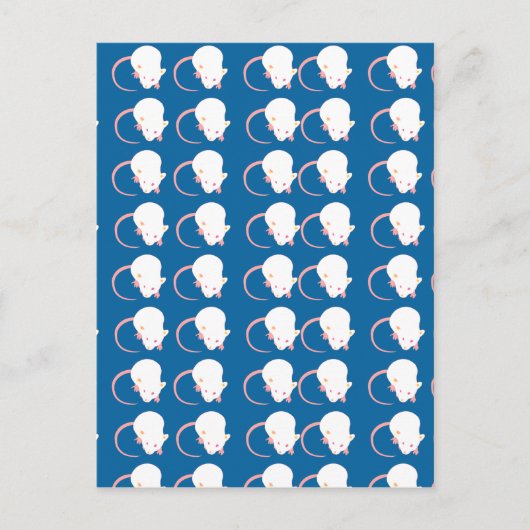 mausgrau postkarte (Vorderseite)