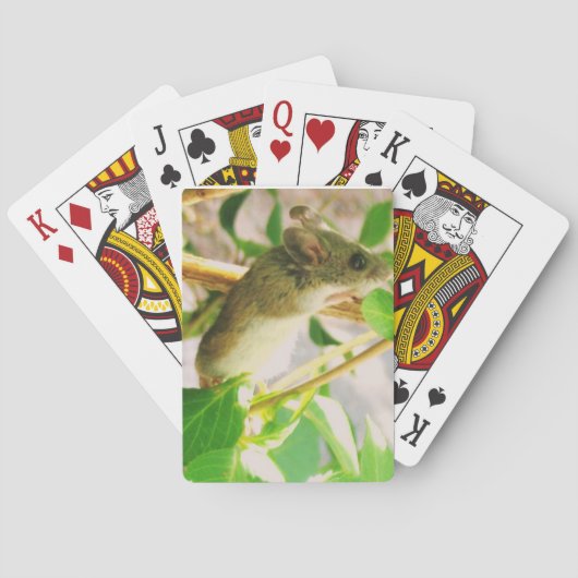 Mauskarten Spielkarten (Rückseite)