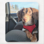 Mausklick mit Kio auf den Welpen Mousepad (Vorne)