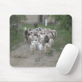 Mauspad (Mit Mouse)