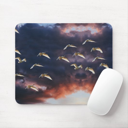 Mauspad (Mit Mouse)