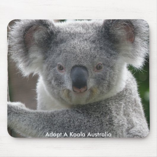 Mauspad Adoptiere ein Koala Australien (Vorne)