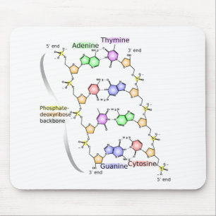 Mauspad-Diagramm der chemischen Struktur der DNA Mousepad