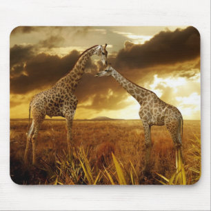Mauspad Giraffen Sonnenuntergang